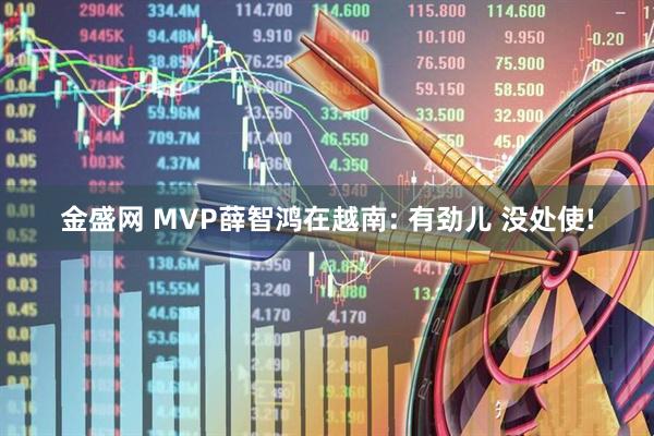 金盛网 MVP薛智鸿在越南: 有劲儿 没处使!