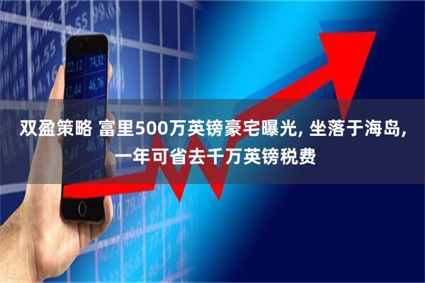双盈策略 富里500万英镑豪宅曝光, 坐落于海岛, 一年可省去千万英镑税费